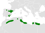 Mapa występowania