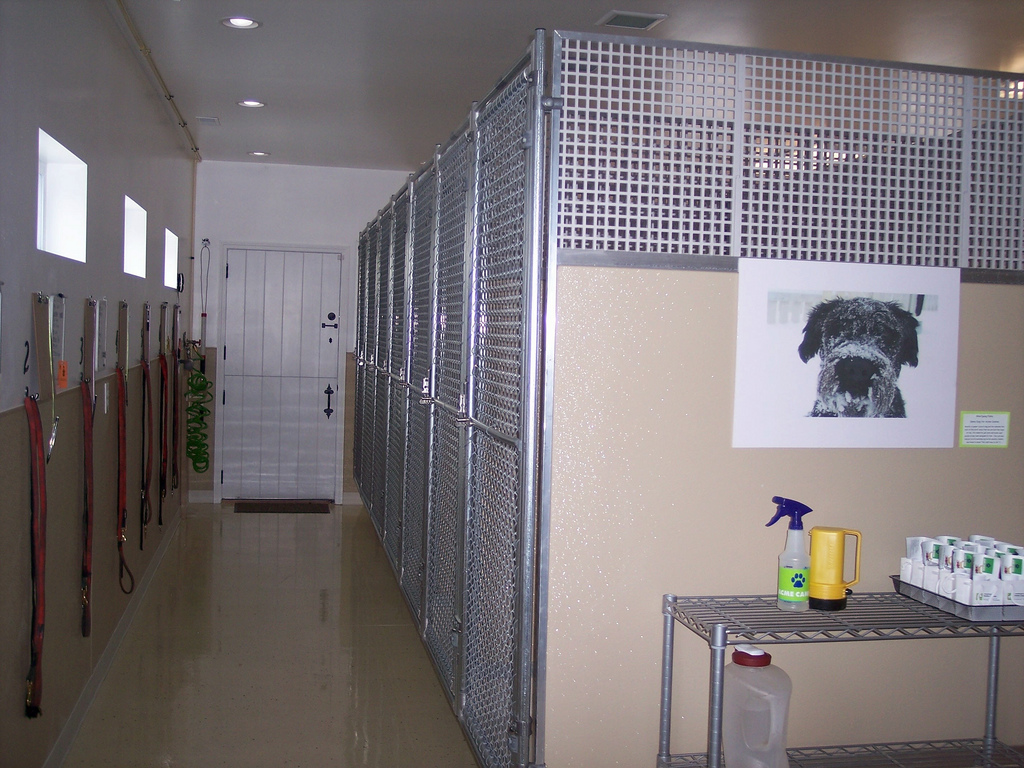 File Dog kennels indoor    Wikimedia Commons