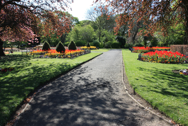 File:Flower gardens in Pearson Park - geograph.org.uk - 1273613.jpg