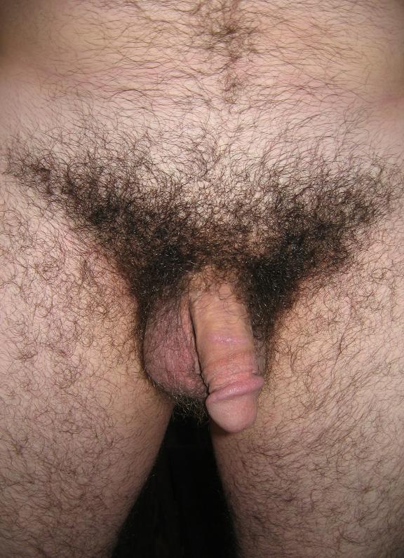 Shaving penis depilazione pube vicino cazzo