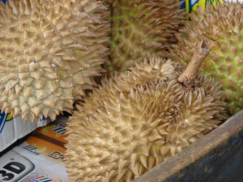 http://upload.wikimedia.org/wikipedia/commons/f/fb/Durian%2C_le_fruit_qui_pue.jpg