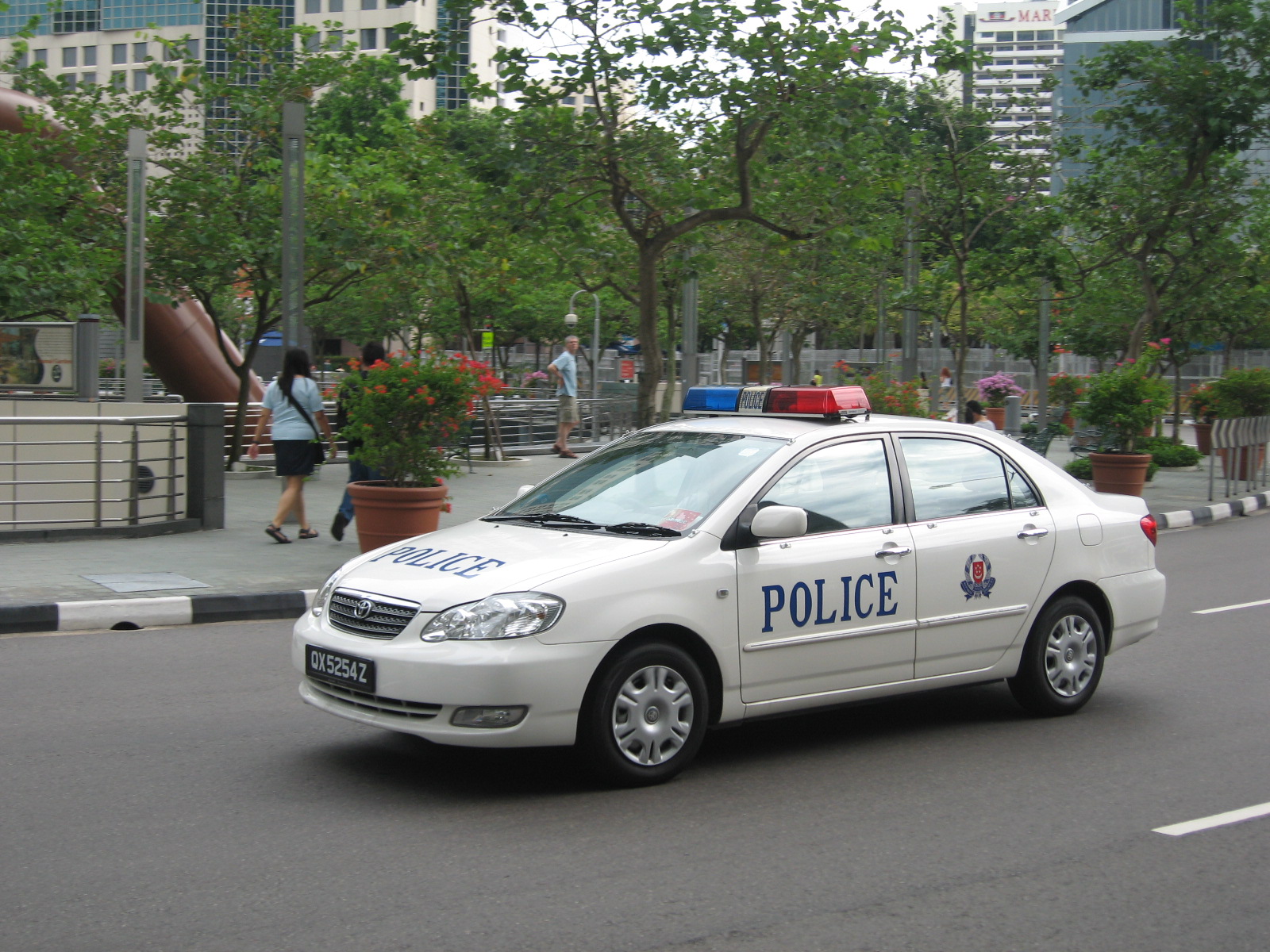 City Police Cars