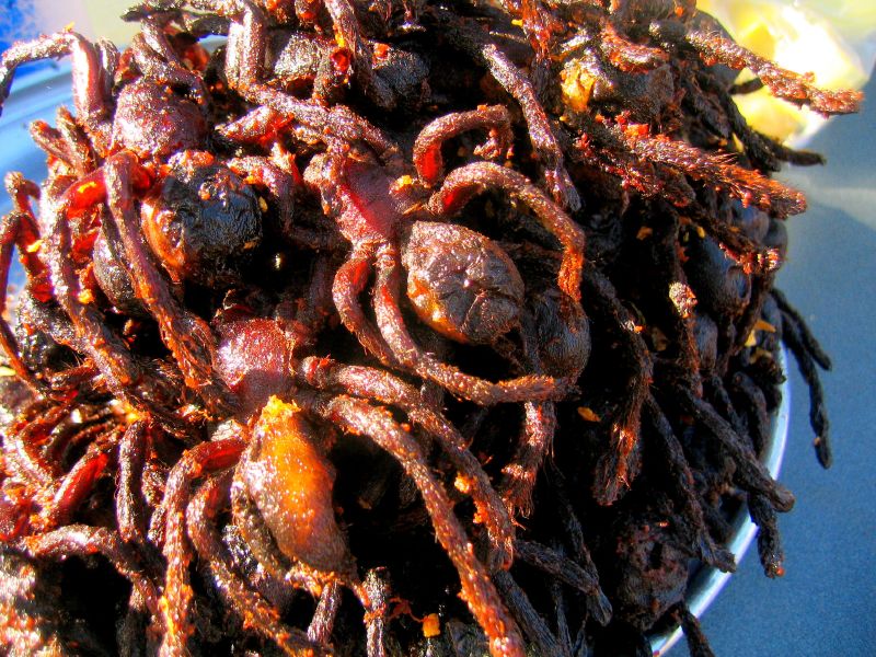 Image result for fried tarantula