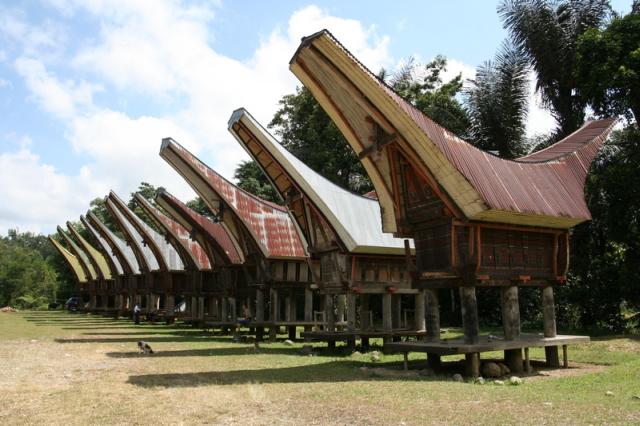 rumah tongkonan Toraja (Sul-Sel). sumber : wikimedia.org
