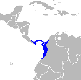 Distribution of Aotus zonalis
