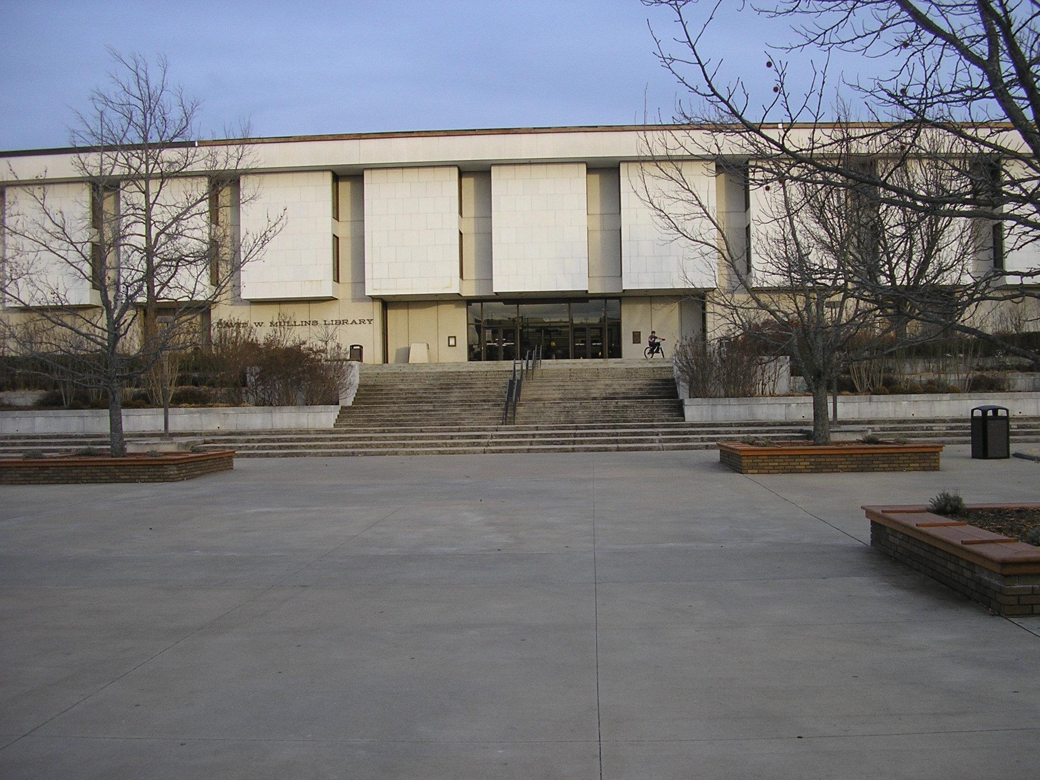 mullins library