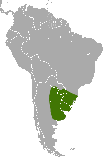 Distribución de Dasypus hybridus