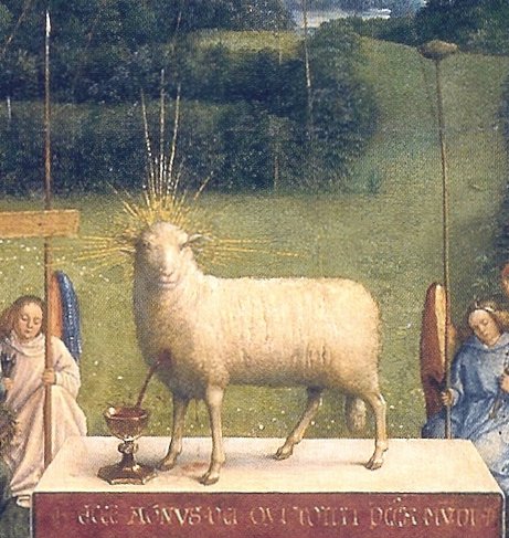 Agnus Dei Images