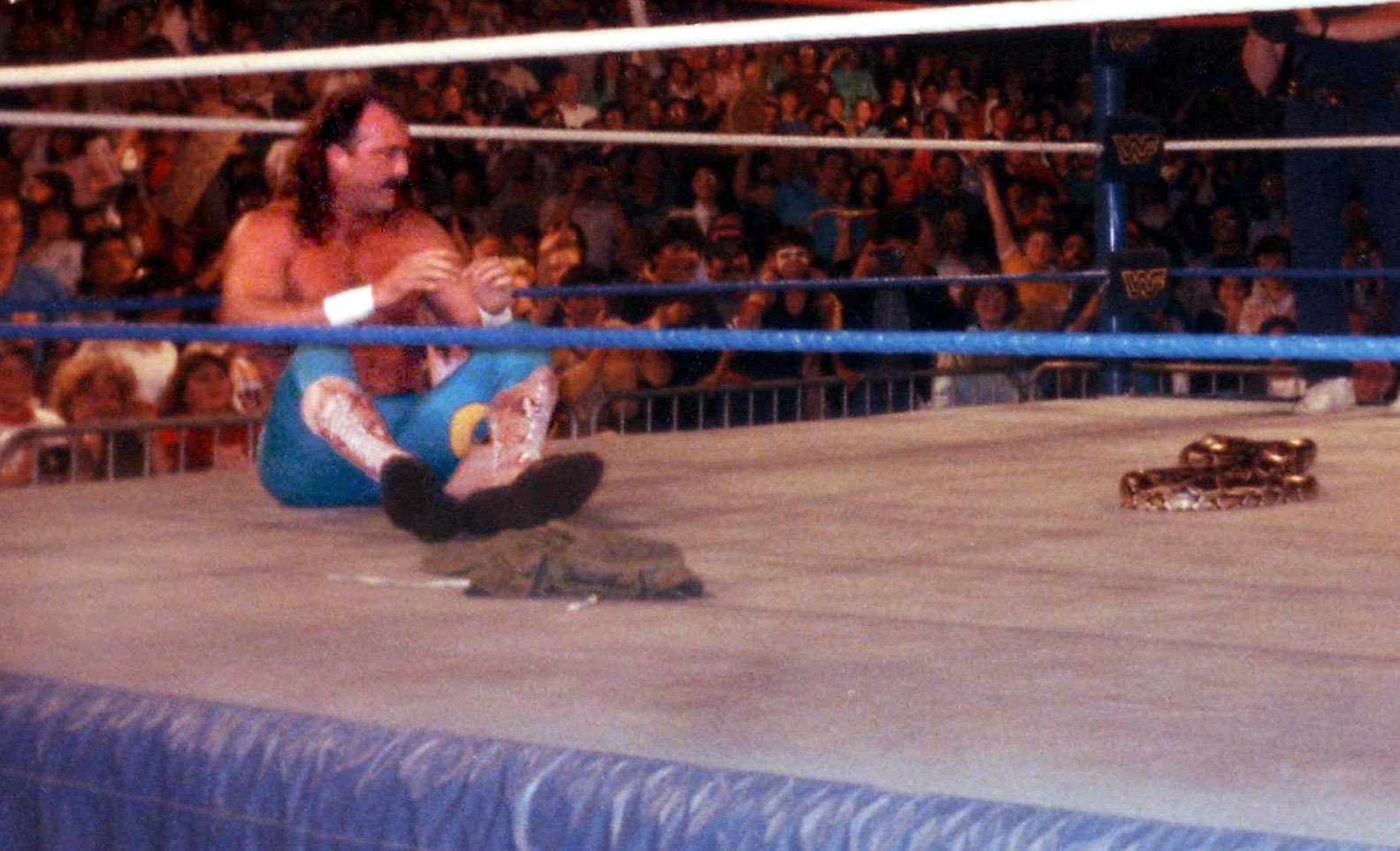 Jake the Snake Roberts with Damien