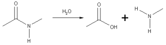 Amide hydrolysis.png