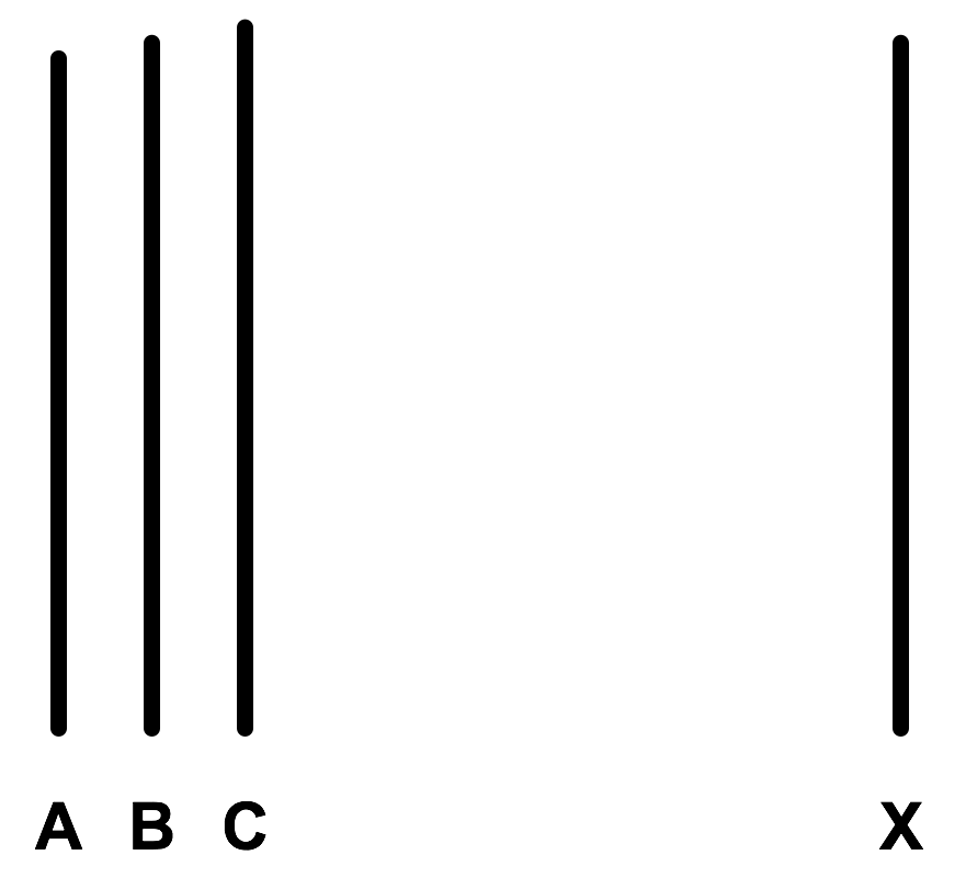 The Asch Conformity Analysis