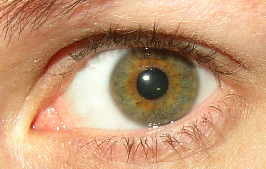 Yellow Hazel Eyes