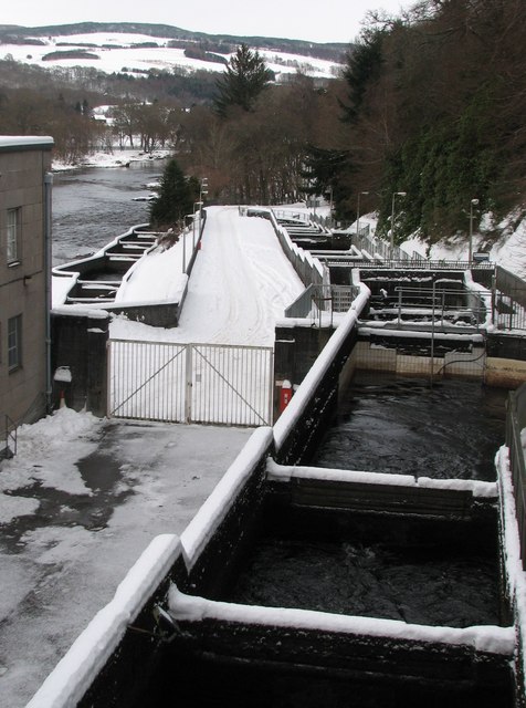 Fish Ladder Pitlochry