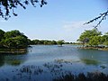 Miniatura para Laguna de Ñapique