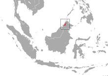 Борнейская водяная бурозубка area.png