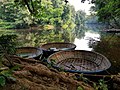 10:50, 25 സെപ്റ്റംബർ 2019-ലെ പതിപ്പിന്റെ ലഘുചിത്രം