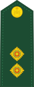 Канадская армия OF-1b.svg