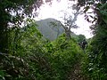 Cerro el Cancharazo