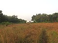 A chapel in Aldona Goa