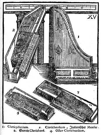 Clavicytherium