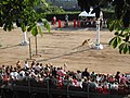 Vista parcial da recreación dun coliseo romano en Arde Lucus