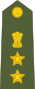 Полковник индийской армии.svg
