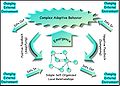 Complex-adaptive-system