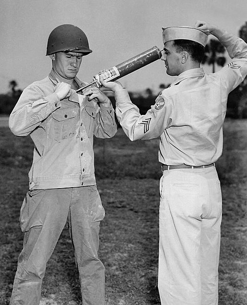 World War II soldier gets DDT to kill lice - CDC photo, Wikimedia
