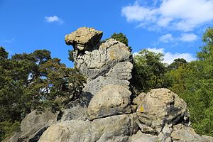 26. Platz: J.-H. Janßen mit Die berühmte Felsformation Hockendes Weib im Naturschutzgebiet „Dörenther Klippen“ bei Ibbenbüren-Dörenthe, Kreis Steinfurt, Nordrhein-Westfalen, Deutschland. Der Felsen ist ein Wahrzeichen der Stadt Ibbenbüren und ein weithin bekanntes Ausflugsziel. Das Beklettern des Felsens ist jedoch nicht gestattet, einmal aus Naturschutzgründen, vor allem aber auch wegen der Gefahr von Felsabbrüchen.