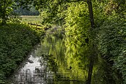 Een waterweg langs het broekbos