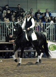 Photo d'un cavalier sur un cheval noir