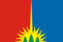 Flag of Yurlinsky District