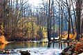 Fleming Creek in fall