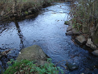 Da Grimmenwiesenbach (voane rechts) mindt in an rechtn Oam vom Lohrbach