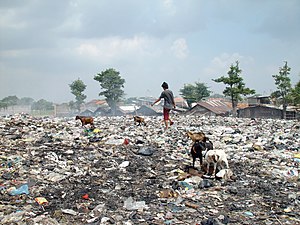 New Social Venture Revolutionizes Garbage Industry In India