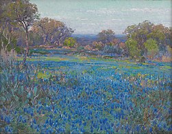 A field of Blue Bonnets, late afternoon sunlight, 1920, Panhandle–Plains Historical Museum (en)