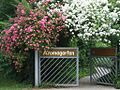 Miniatura para Jardín de plantas aromáticas de Erlangen