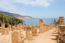 Le Cardo maximus de la ville romaine (Tipaza).jpg