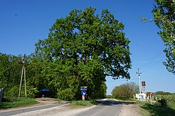 Väg i ortens norra del