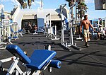 Miniatura para Muscle Beach