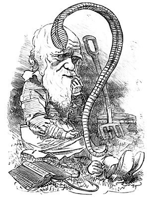 The worm turns - cartoon of Charles Darwin