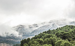 Jebel Serj National Park