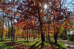 Wanda Malczewska Park