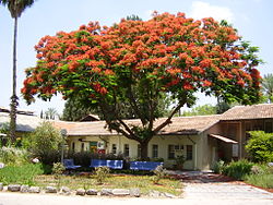 The original Zionist kibbutz settlement