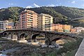 Il ponte visto dalla sponda di ponente