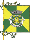 Flag of Espinho