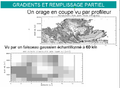 Vignette pour la version du 11 août 2011 à 22:16