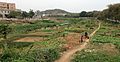 Farmers working plots along the river in Fenggang