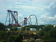 SheiKra à Busch Gardens Tampa Bay