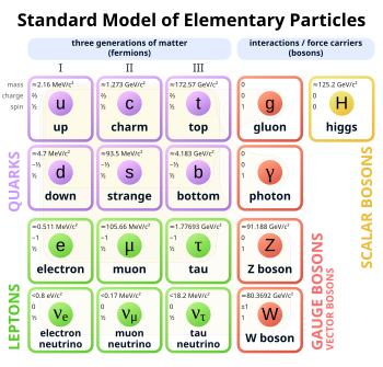 The Standard Model of elementary particles, with the fermions in the first three columns, the gauge bosons in the fourth column, and the Higgs boson in the fifth column Standard Model of Elementary Particles.svg